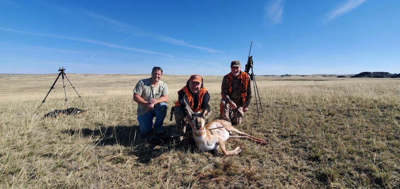 Antelope Down by Dillon