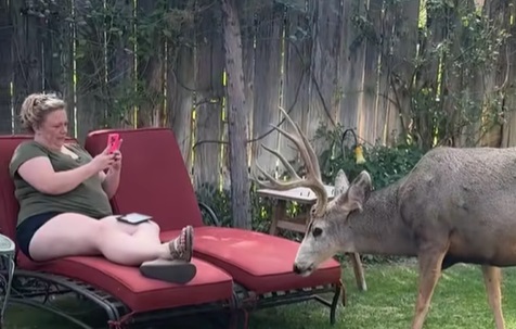 Buck Joins Backyard Chill Session
