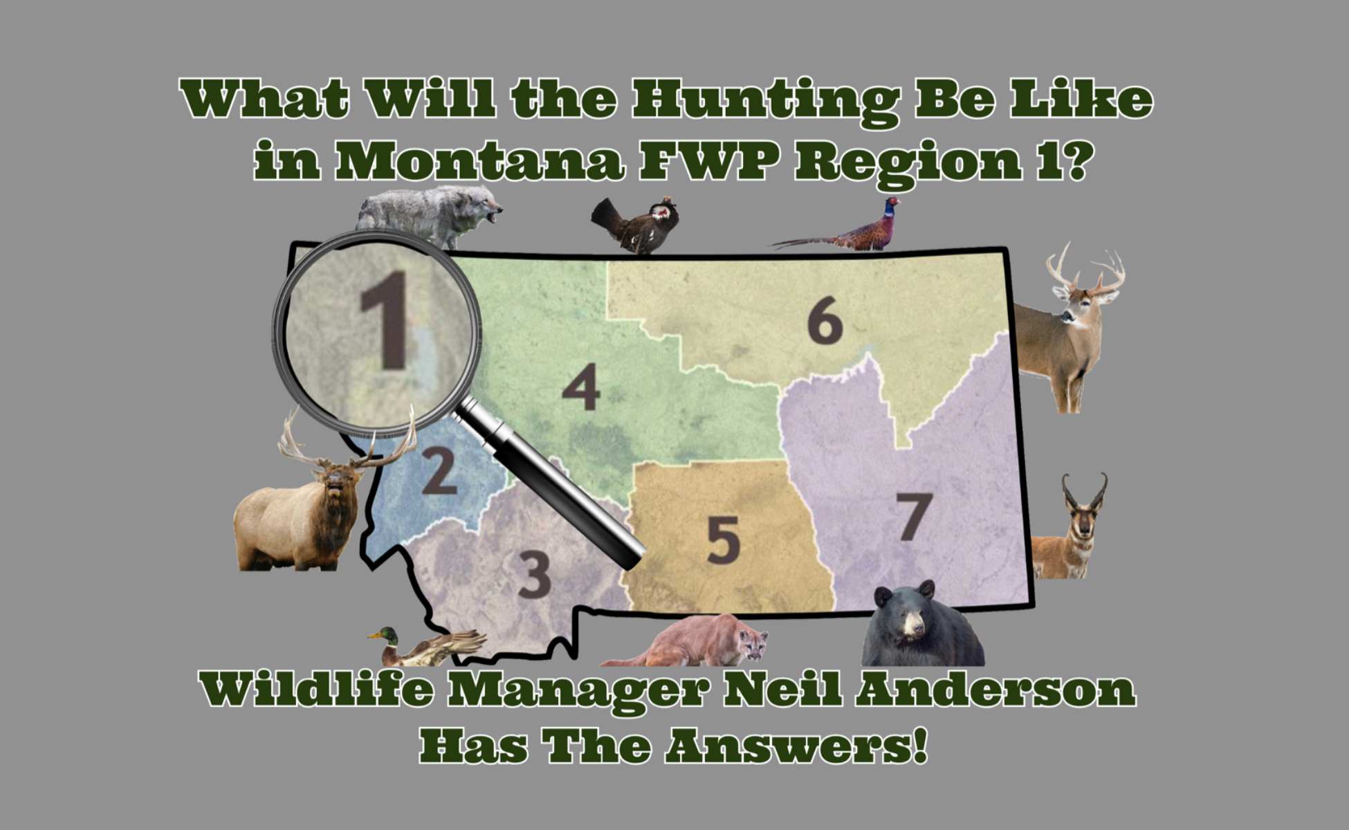 MT Outdoor Podcast Hunting Series: From Elk to Wolves, Region 1 has it all! Neil Anderson just dropped the ultimate hunting guide!