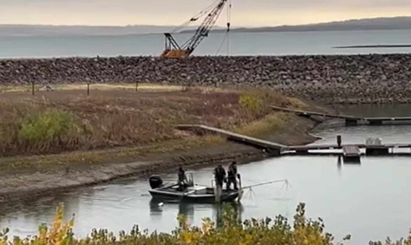 FWP Salmon Shocking in Action