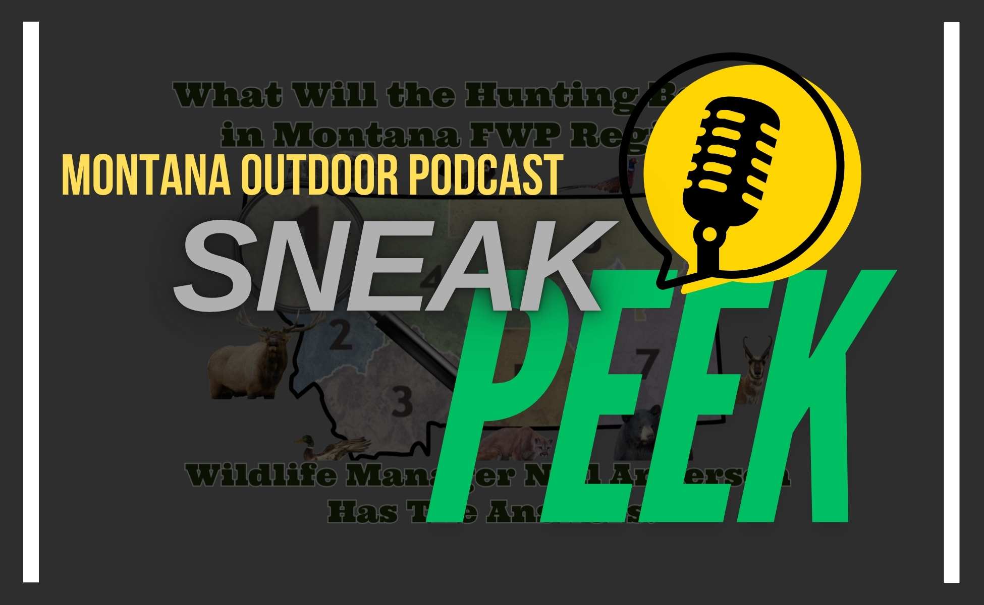 EXCLUSIVE SNEAK PEEK: MT Outdoor Hunting Series — Elk, Deer, and…Urban Critters? Hunting in Region 1 Revealed!