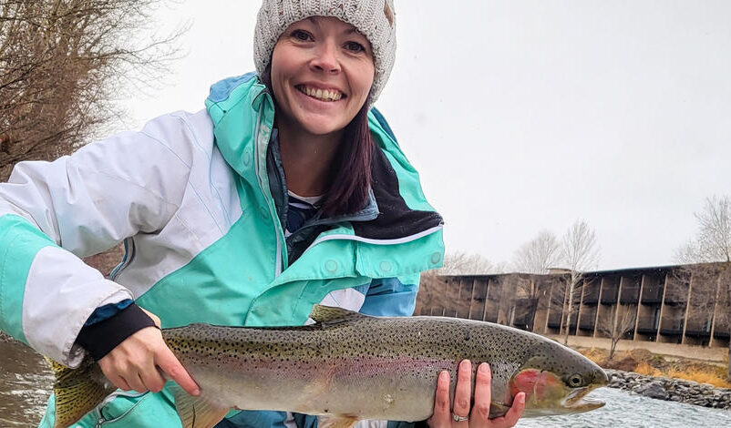 Upper Salmon River Steelhead Update by IDFG 11.19.24