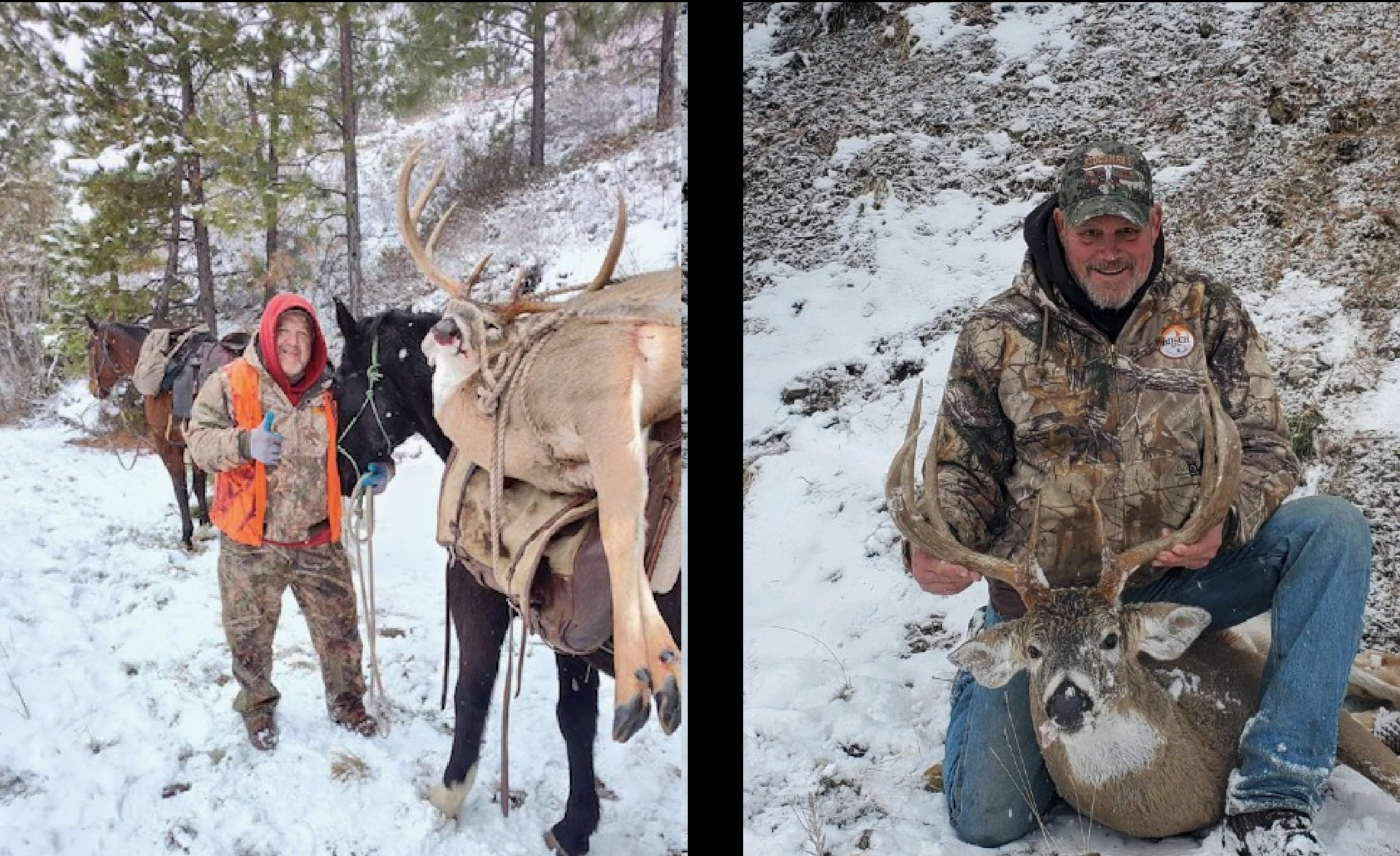 Real Nice Deer taken in Western Montana