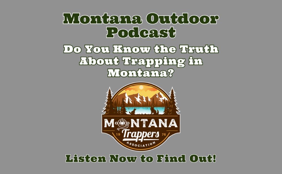Exclusive Sneak Peek: MT Outdoor Podcast Talks about Wildlife’s Unexpected Ally with The MTA