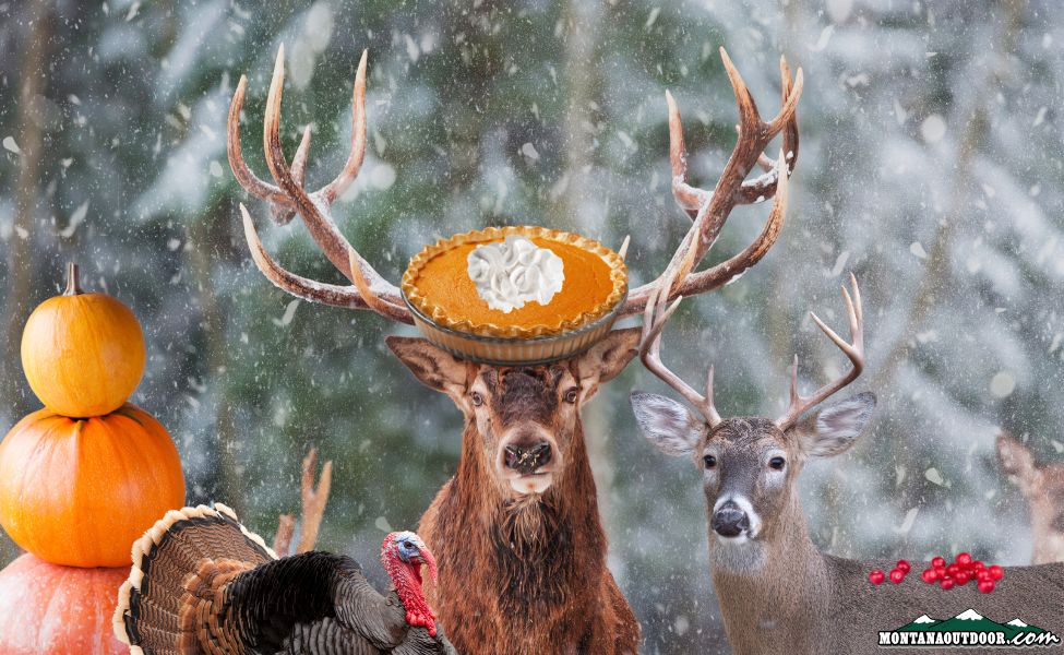 Turkeys, Trophies, and Thanks