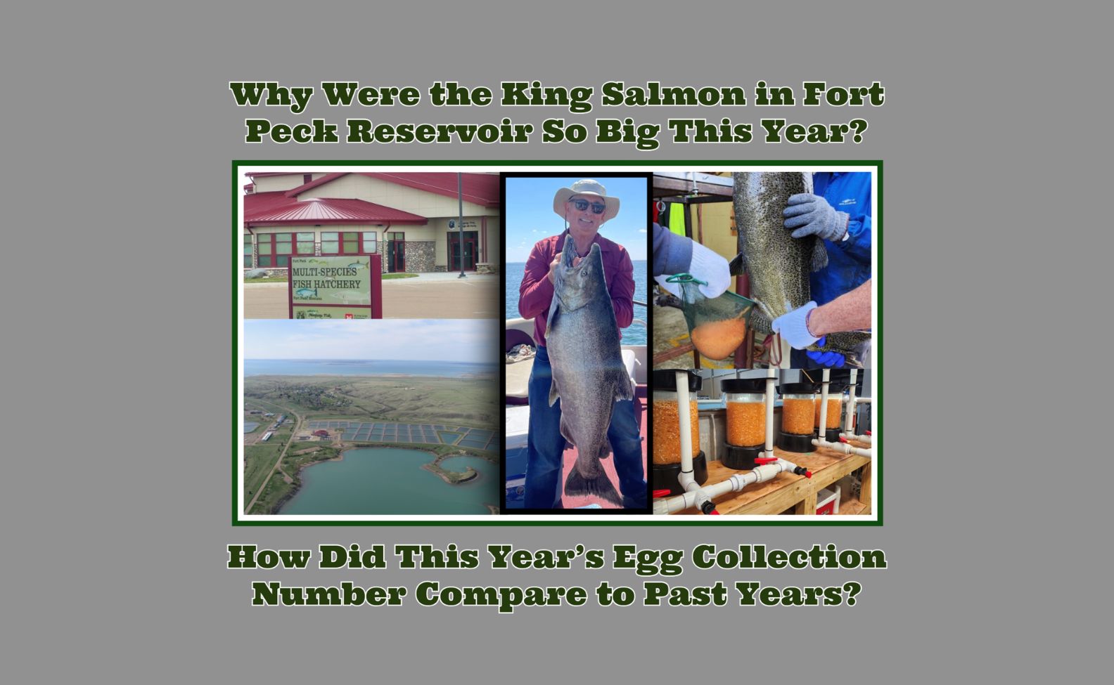 MT Outdoor Podcast Talks Salmon Supremacy: Why Fort Peck’s Kings Are Making Headlines