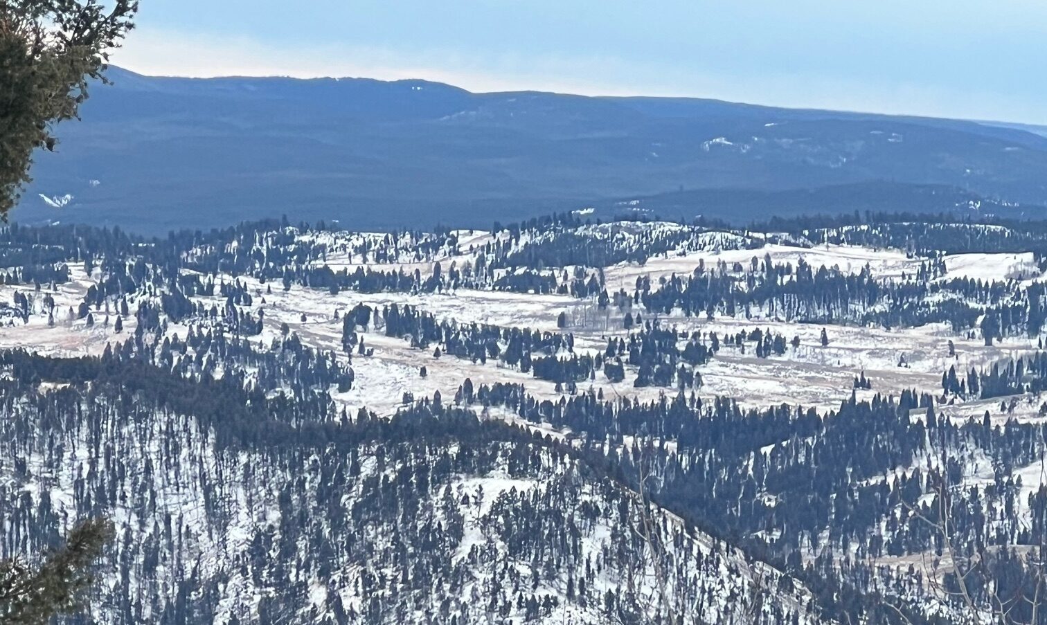 CROSS RIDGE!!! by Montana Grant