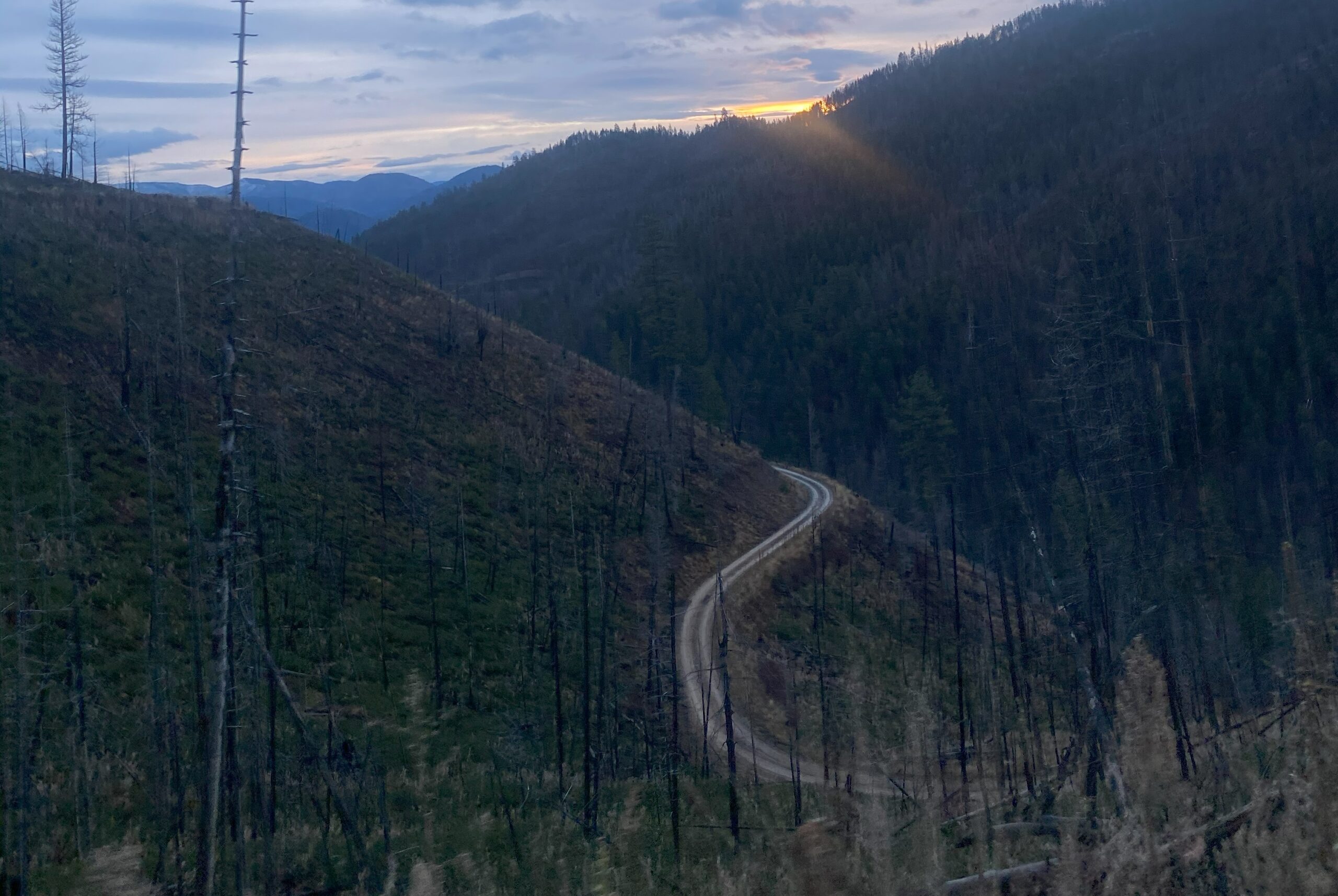 FWP News: Trap setback requirements removed from most seasonally closed roads in Ravalli County