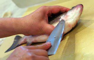BLEEDING A FISH by Montana Grant