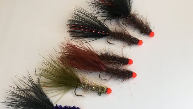 BALANCED LEECHES DON’T SUCK! by Montana Grant