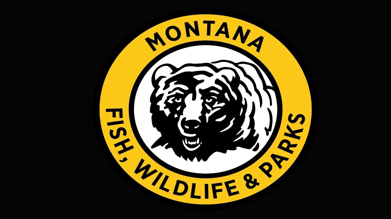 Game wardens seek information on bull elk shot and wasted near Worden