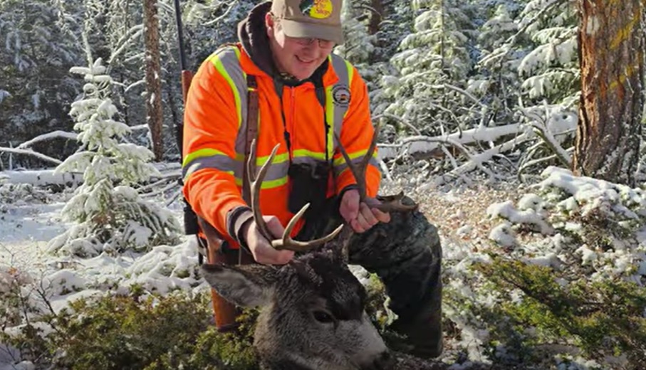 Montana Muley Hunt