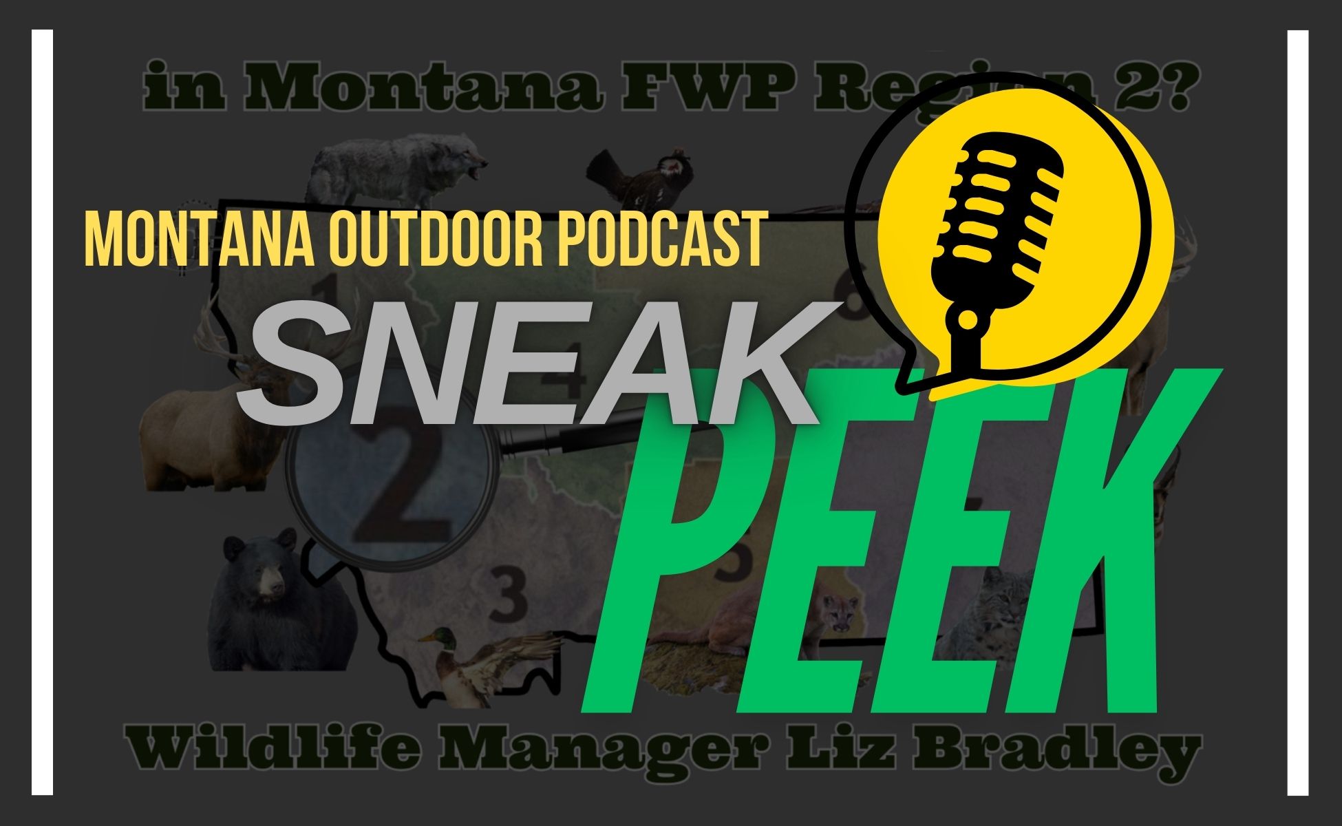 Exclusive Sneak Peek: MT Outdoor Podcast Hunting Series – Hunt Smarter in Region 2…not Harder!