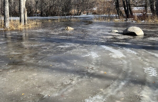FWP News: Vehicle access temporarily prohibited at Rosebud Isle Fishing Access Site 
