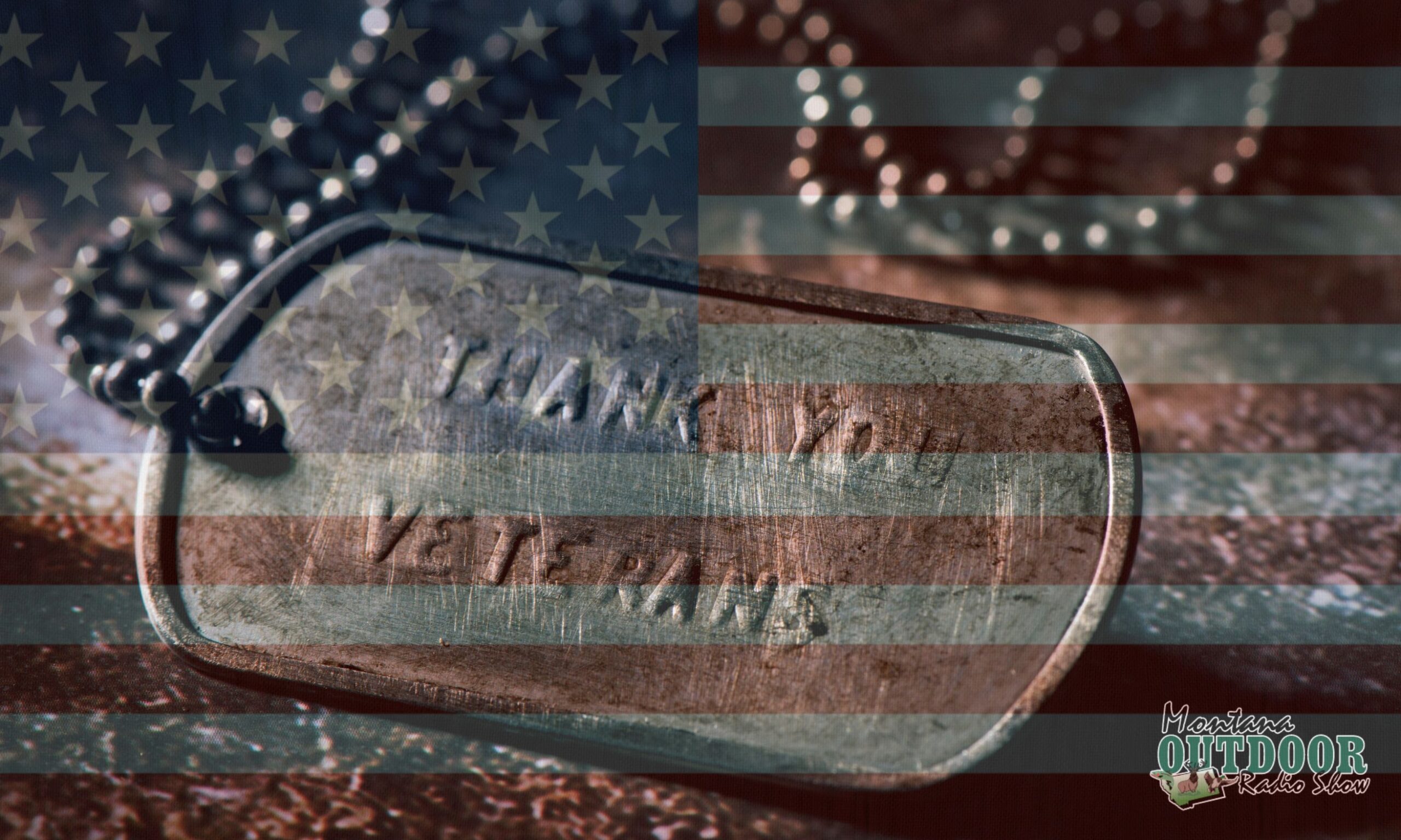 A Veterans Day Tribute