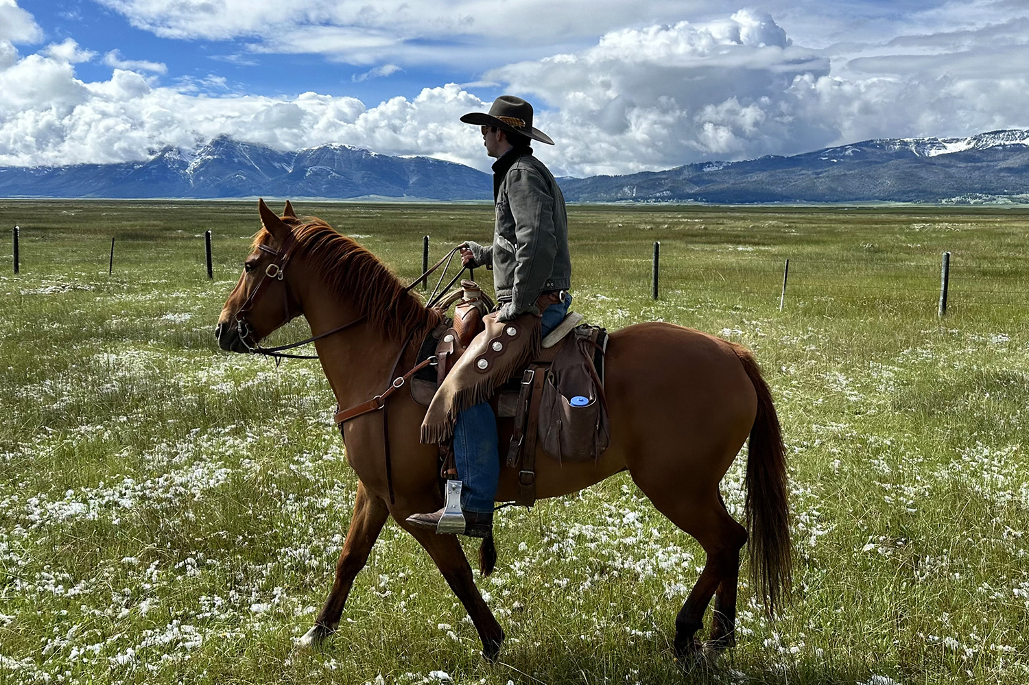 Range Rider: UM Grad Saddles Up for Wildlife-Livestock Coexistence