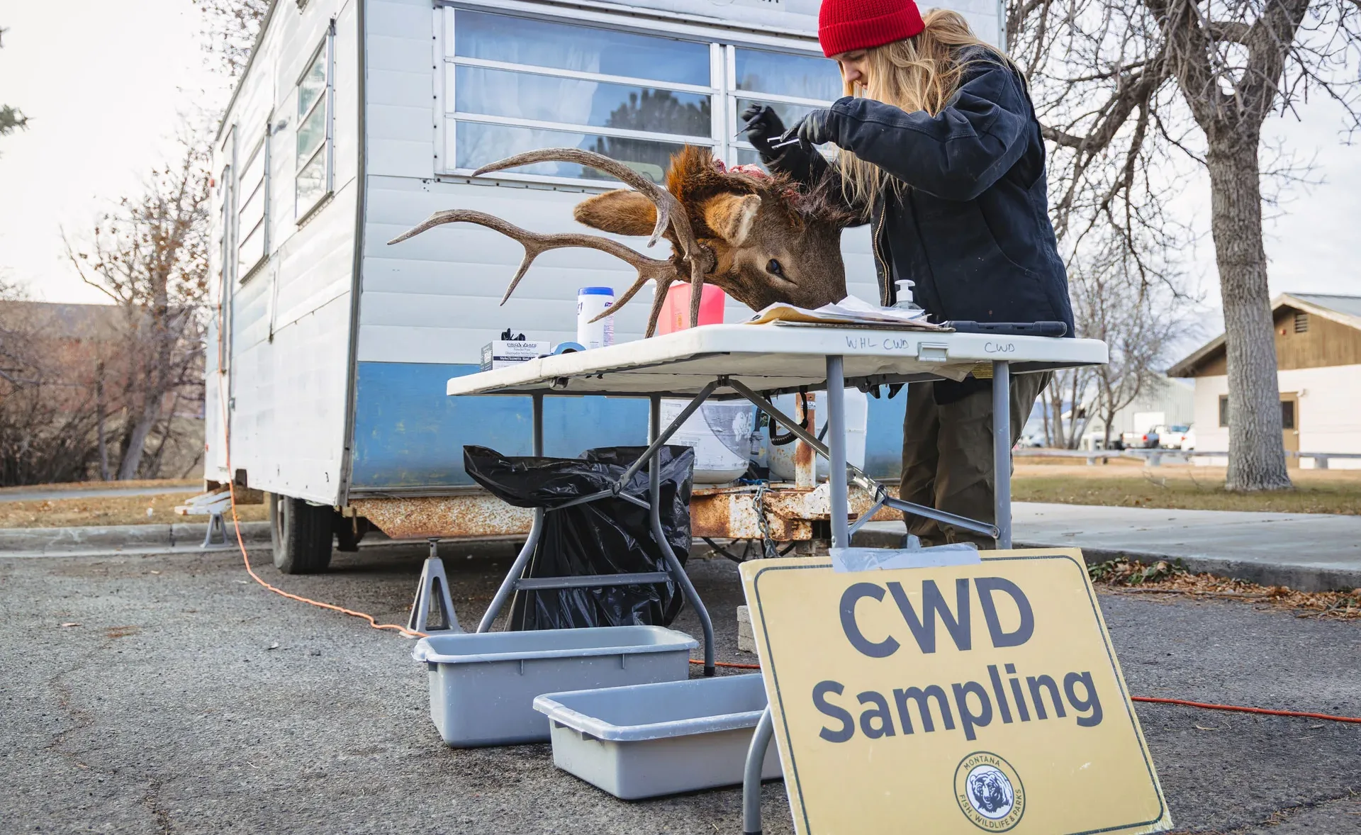 FWP News: CWD testing made easy