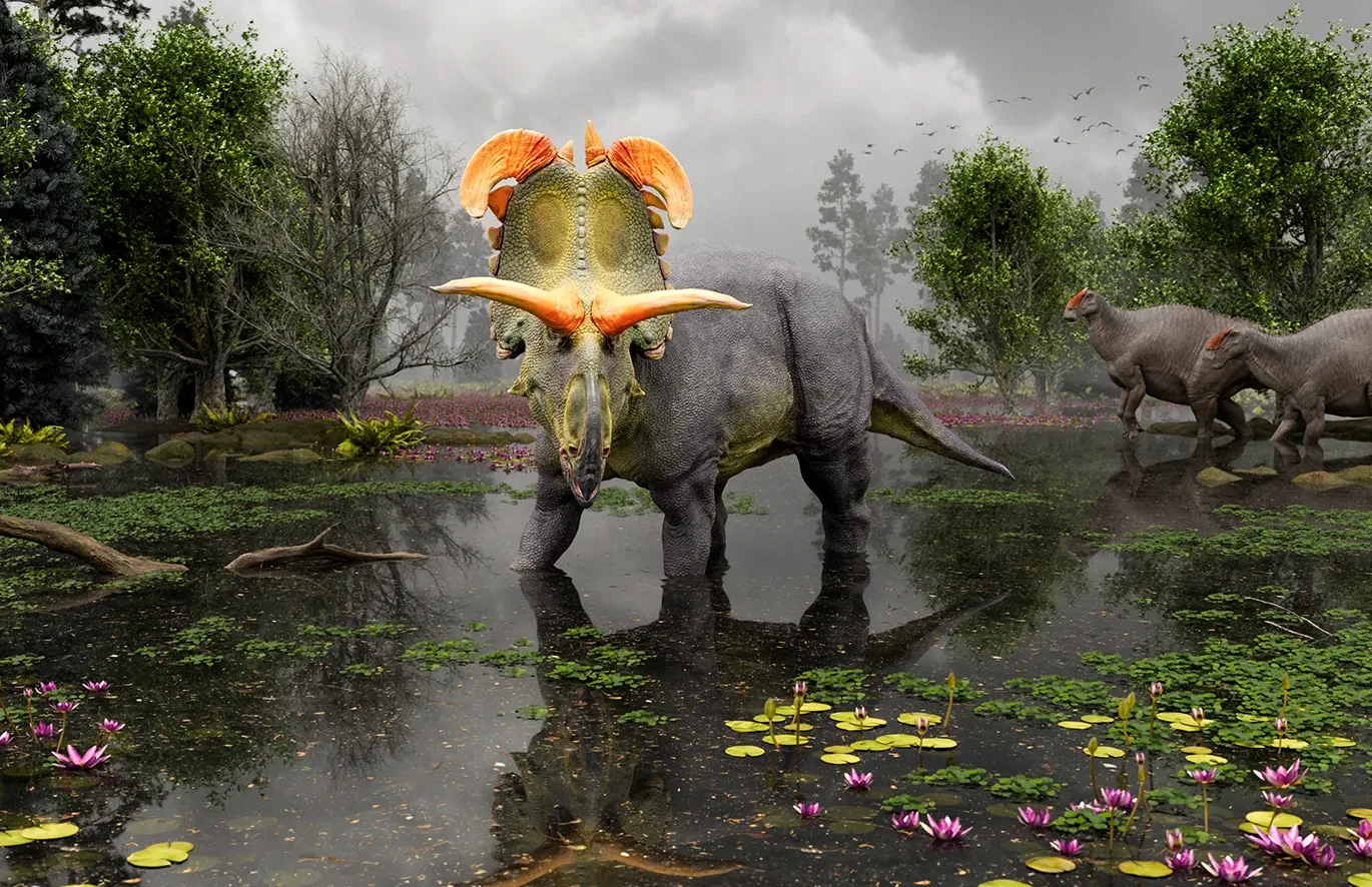 New 78 Million Year Old Montana Dinosaur Species Discovered