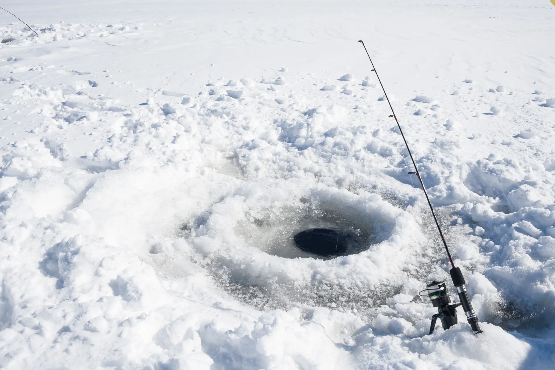 Statewide MT Fishing Report Compilation 12.29.24