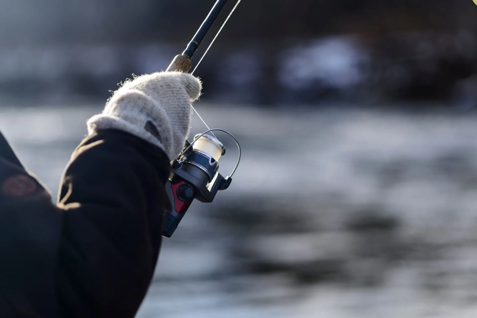 Statewide MT Fishing Report Compilation 12.11.24