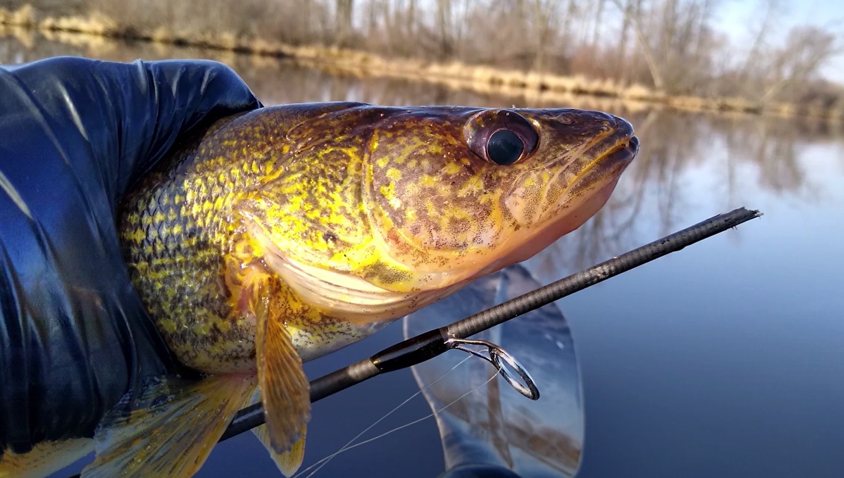 DIY Ice Rod: Fishing Fail to Winter Win