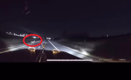 Deer vs. Car: Who Really Wins?