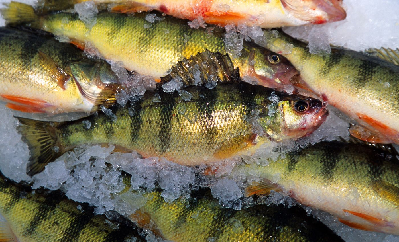 How to Clean Your Perch without Losing Your Cool