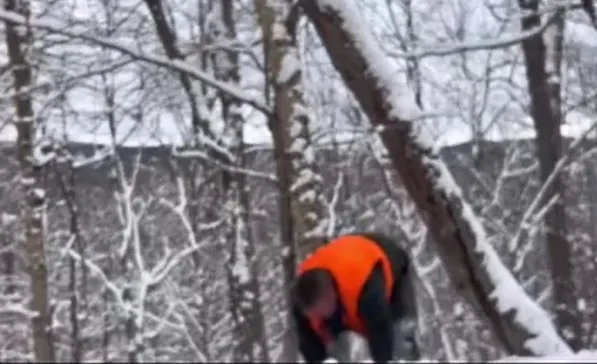 Expecting the Unexpected while Hunting