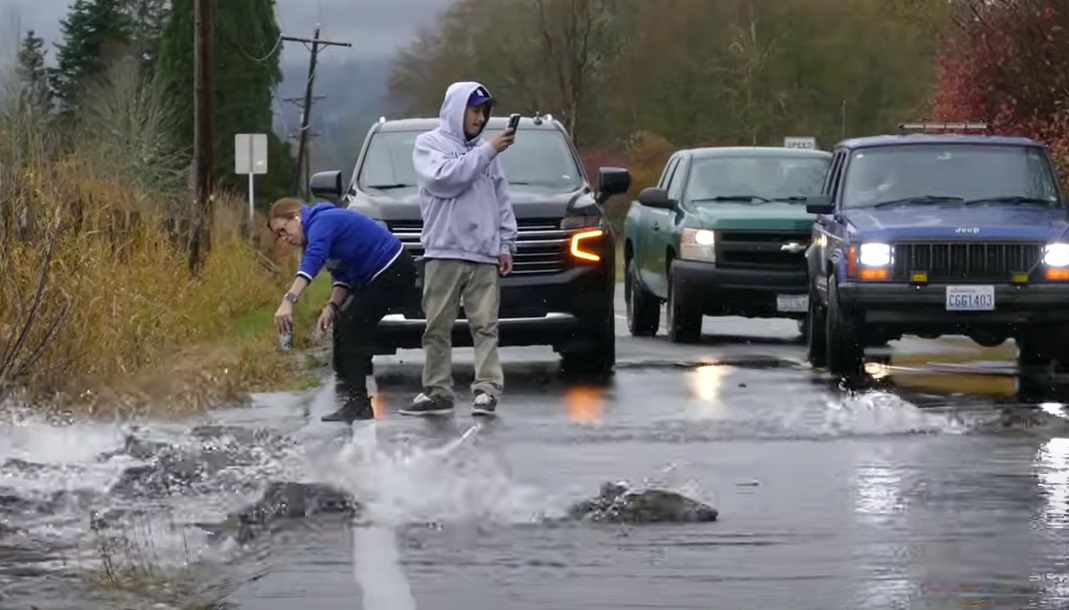 Nature’s Traffic Jam: Salmon Edition