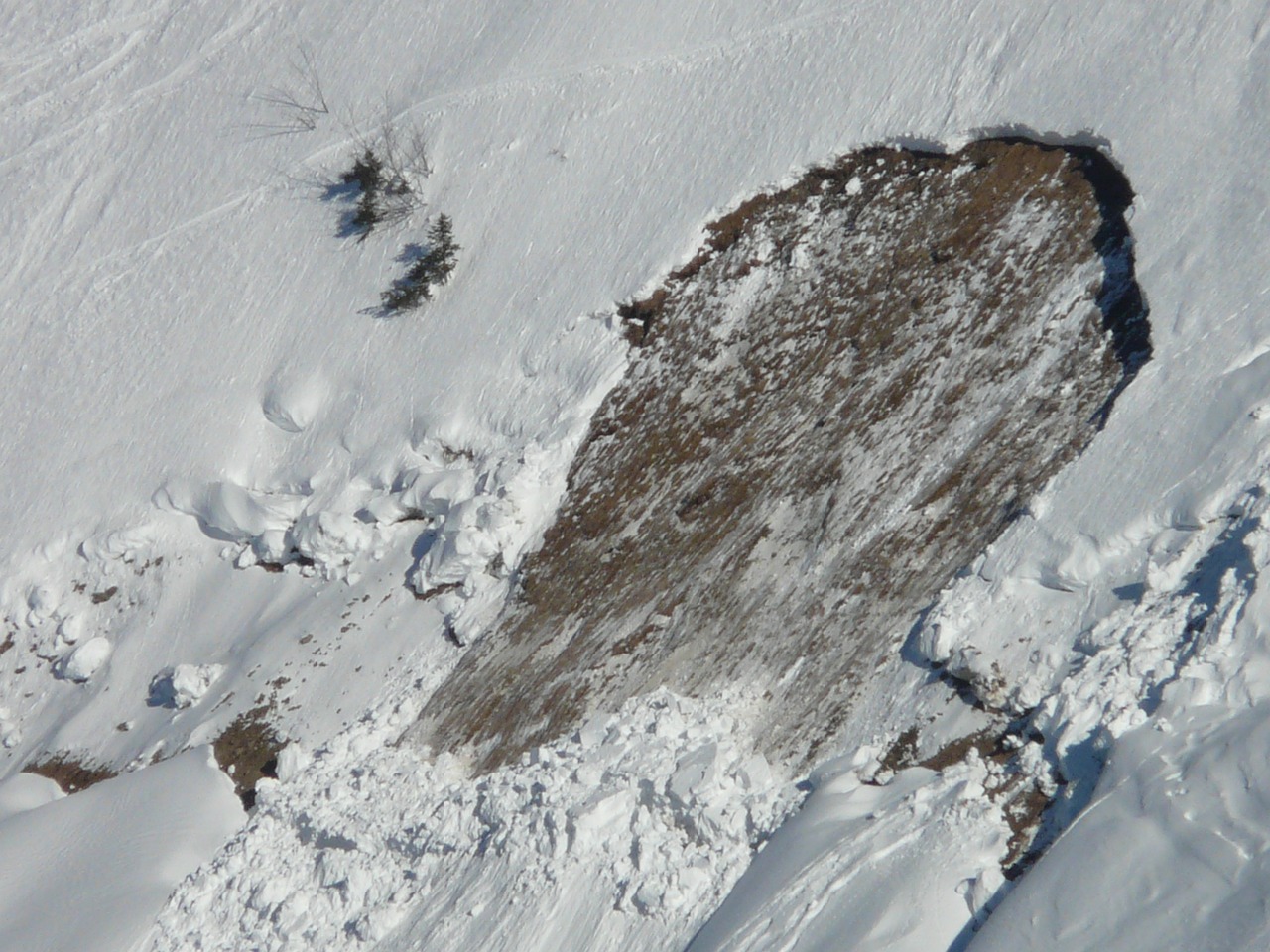 Flathead Avalanche Center begins daily forecasts