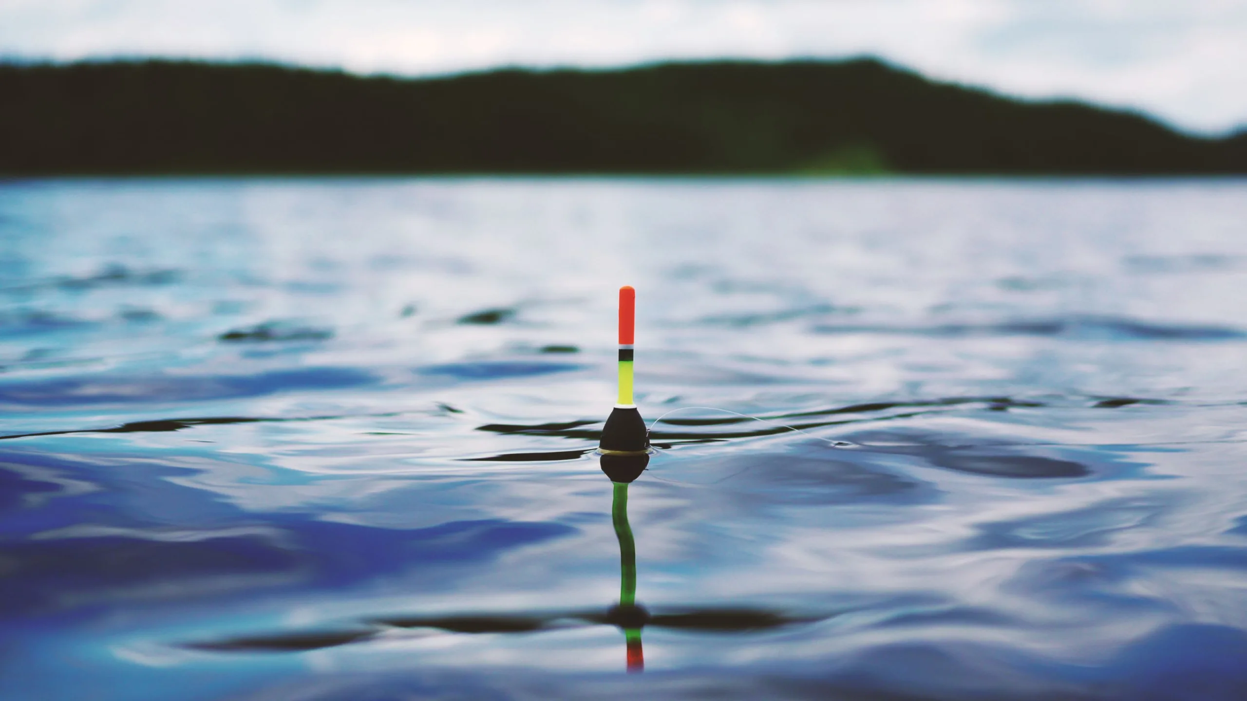 FWP seeks public comment on open water fishing contests for 2025