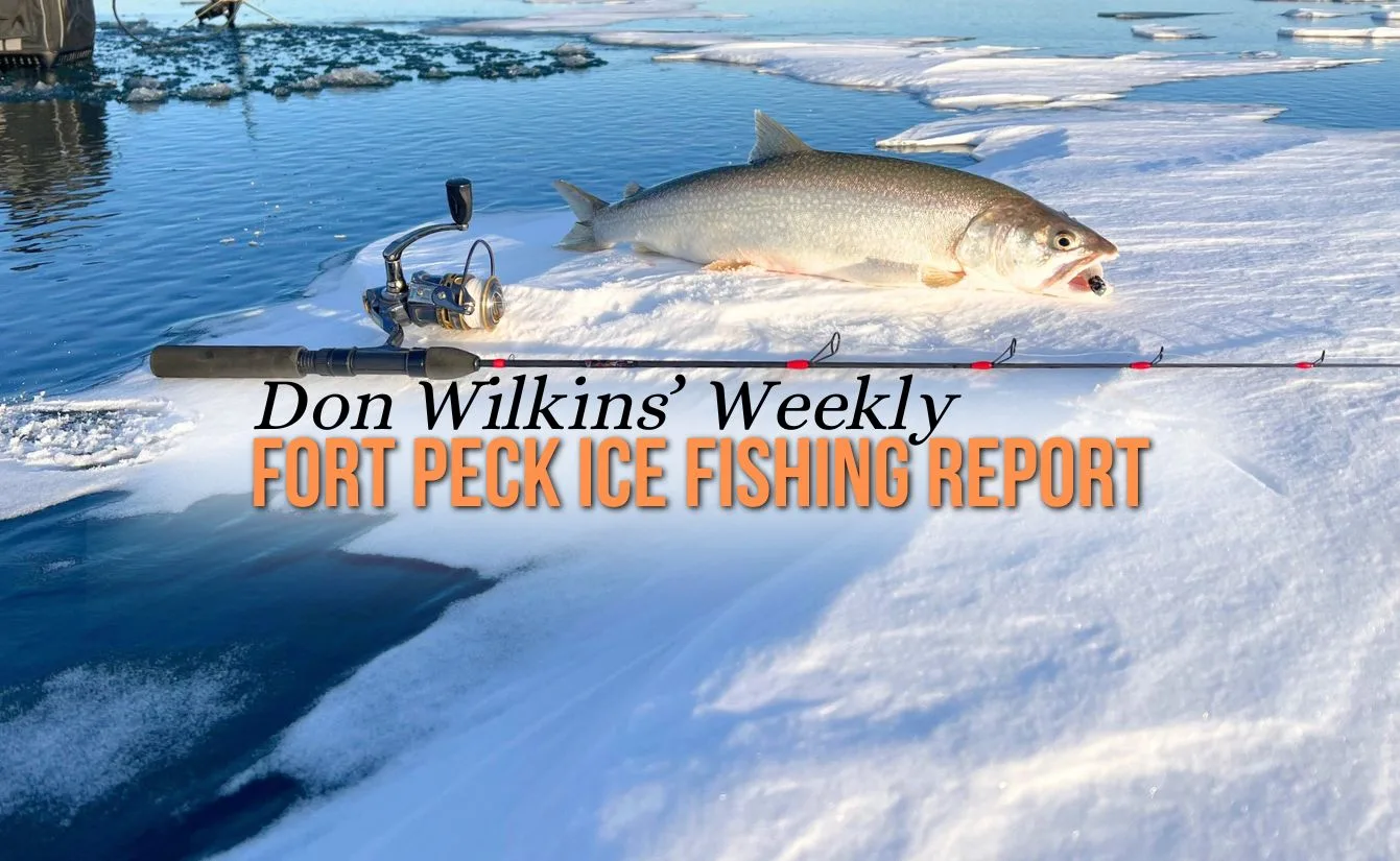 Don Wilkins’ Fort Peck Ice and Fishing Report 2.27.25