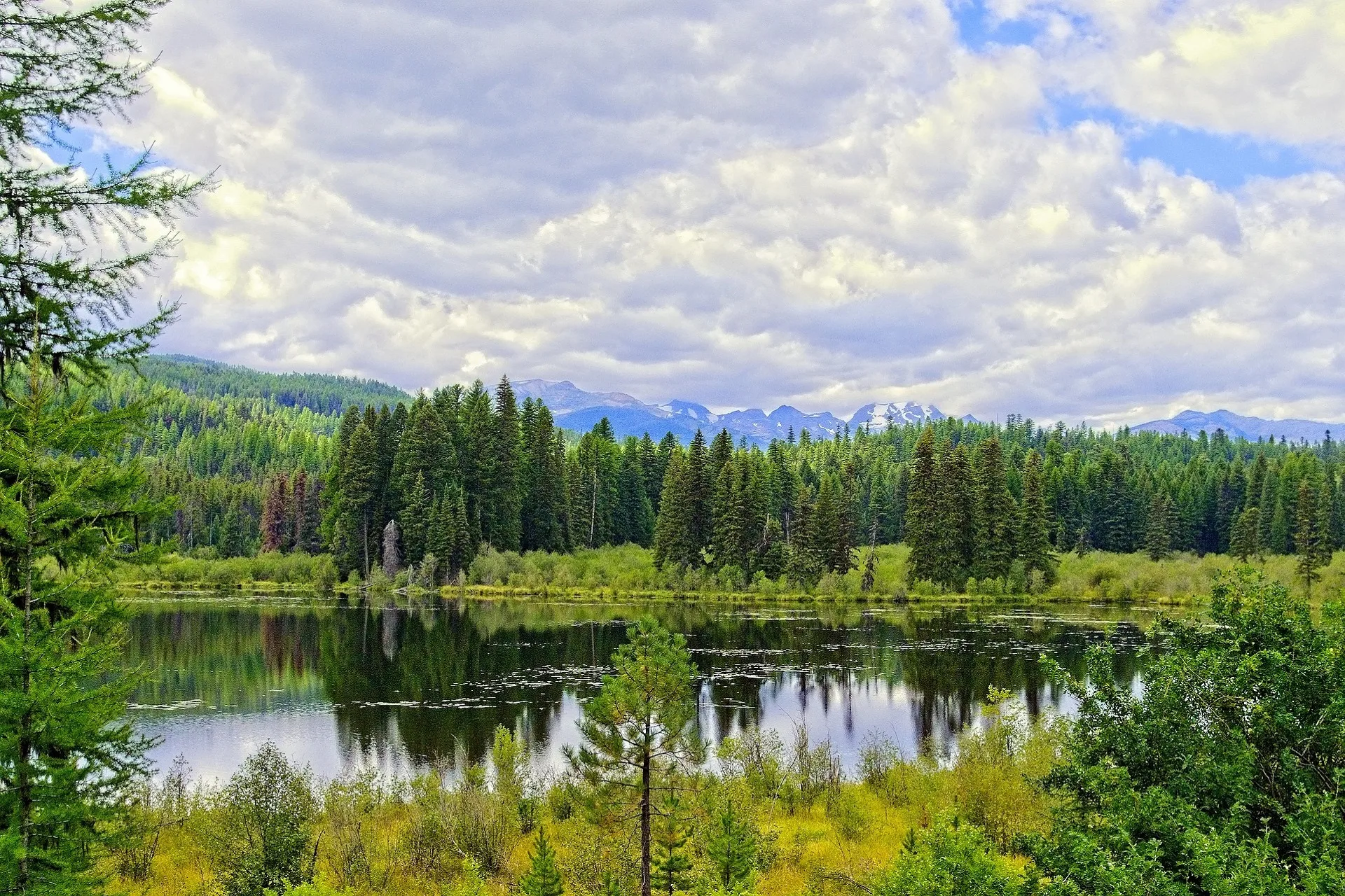 Montana House Set to Vote on Resolution Supporting Federal Land Transfer