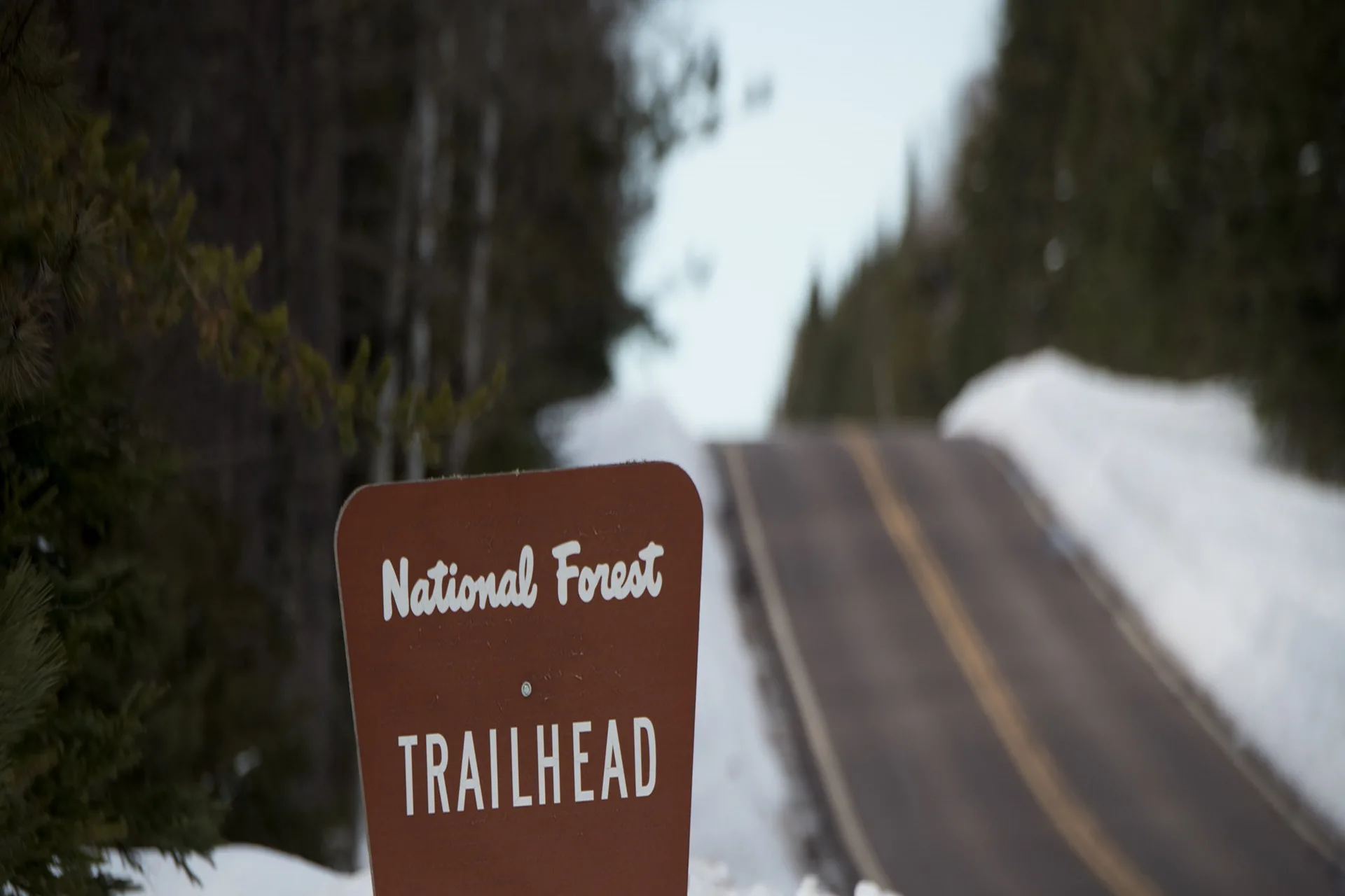 Ross Creek Cedars Nature Trail closed until September