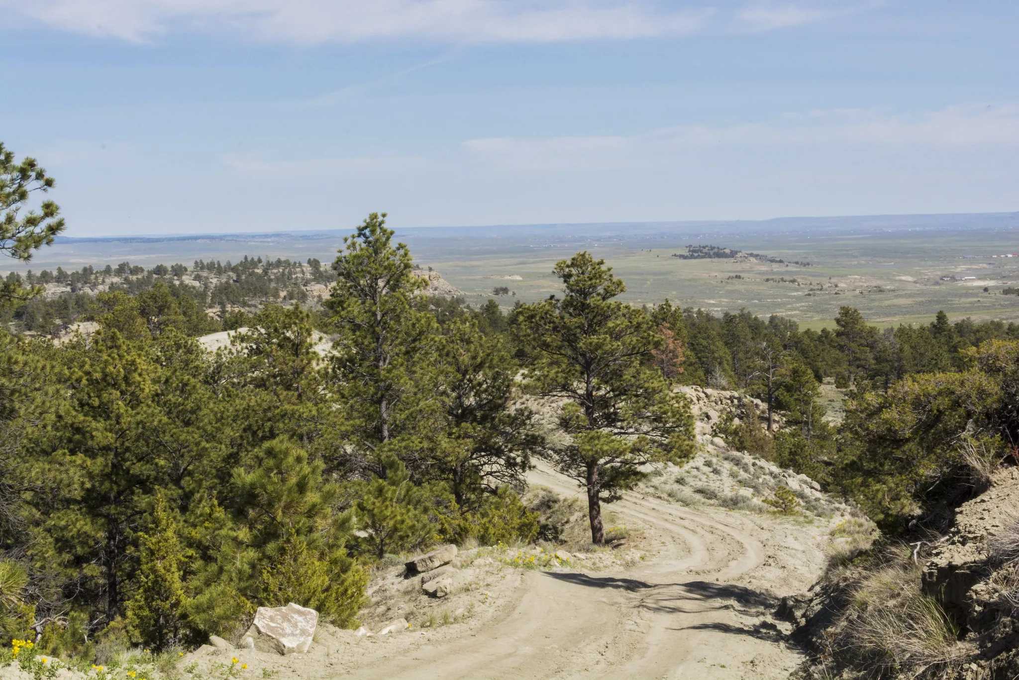 BLM reports damage at Acton Recreation Area