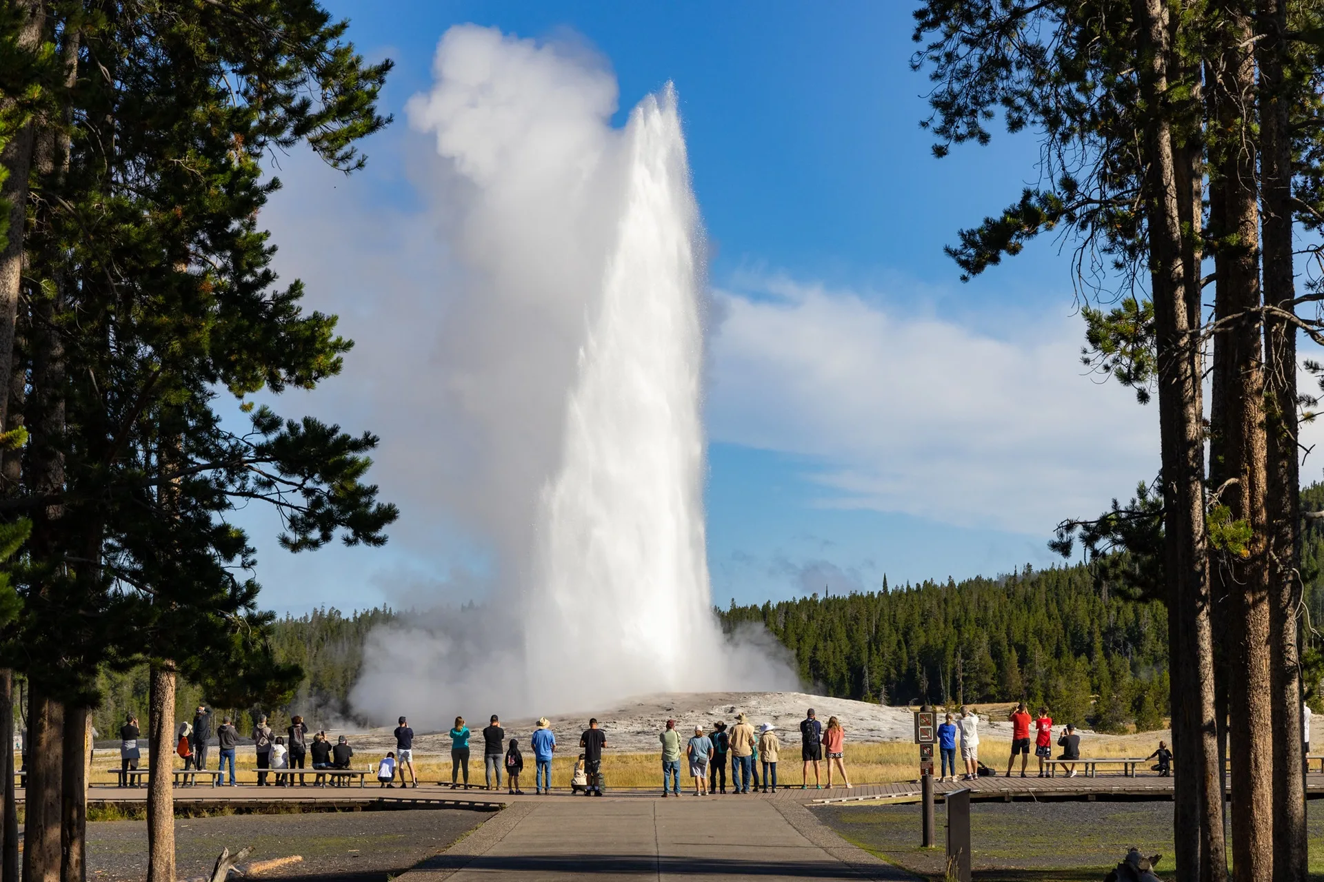Seattle woman sentenced to 7 days incarceration for approaching Old Faithful
