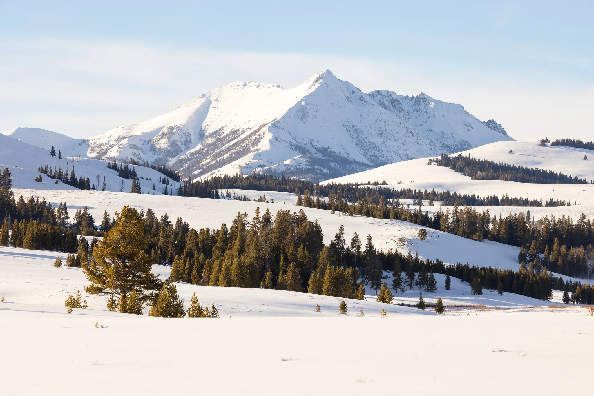 Study finds mercury contamination in the Rocky Mountains