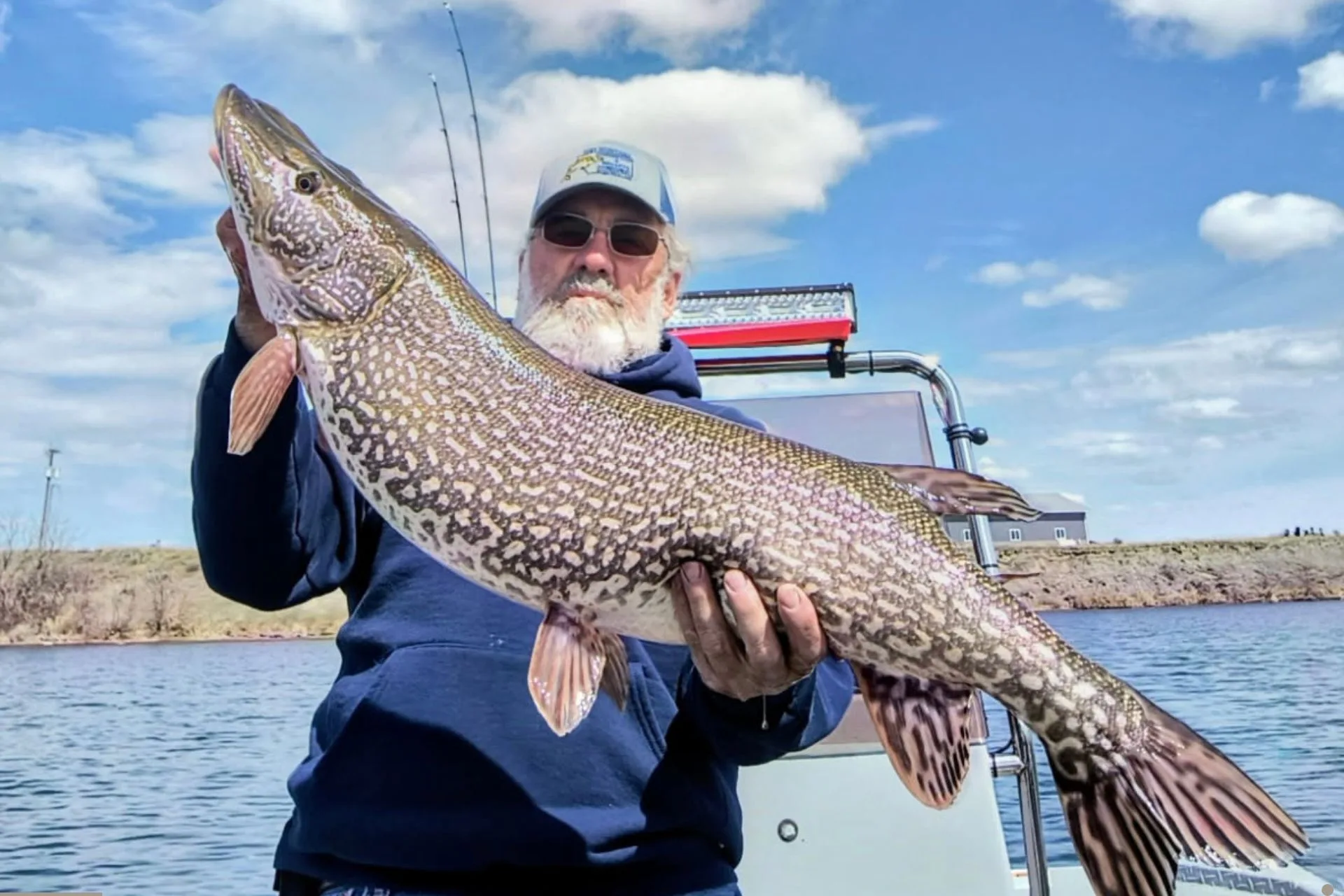 30 Plus Pound Pike Caught at Peck