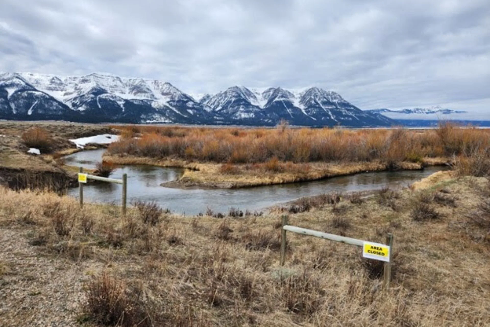 Anglers charged by grizzly bear in Centennial Valley