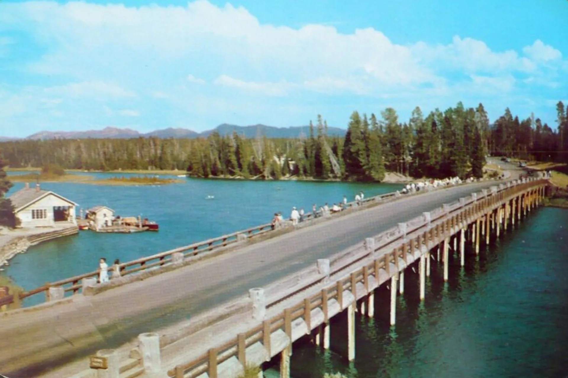 Plans for the Park