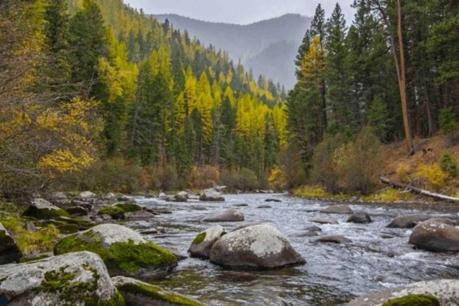 Rock Creek Fishing Report 4.4.25