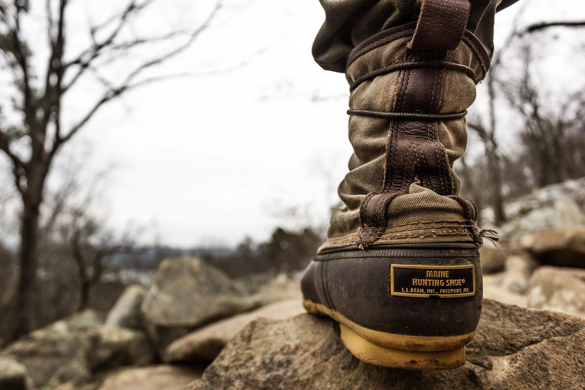 Flathead County SAR finds man 14 miles from last known location
