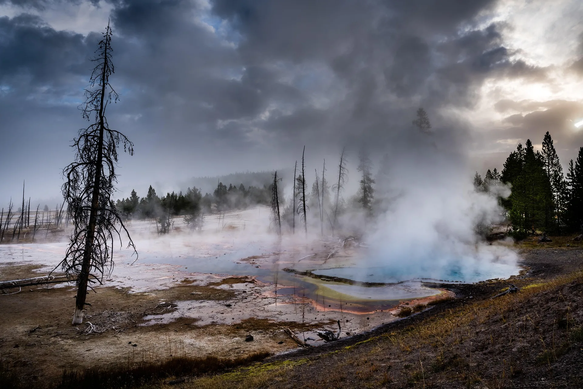 Man sentenced to week in jail for parking on Yellowstone thermal area