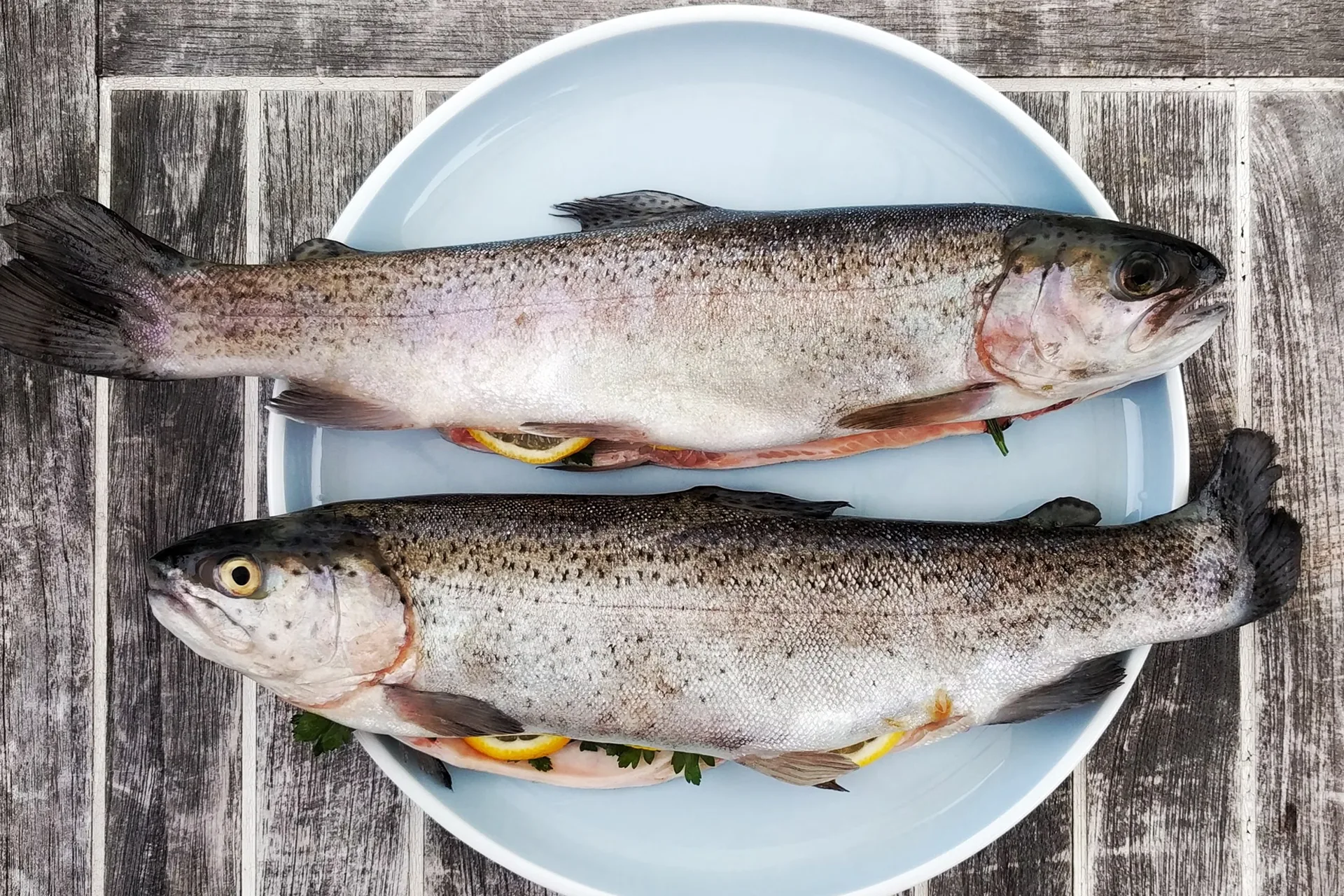 T-Bones in Fish? Understanding Fish Skeletal Structures and Their Impact on Cooking