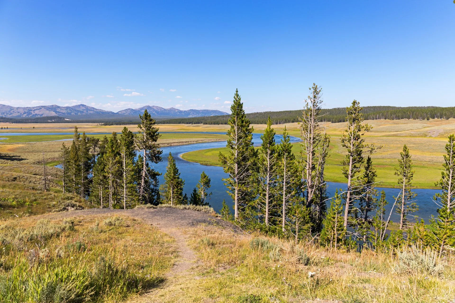 Yellowstone River Fishing Report 5.19.25