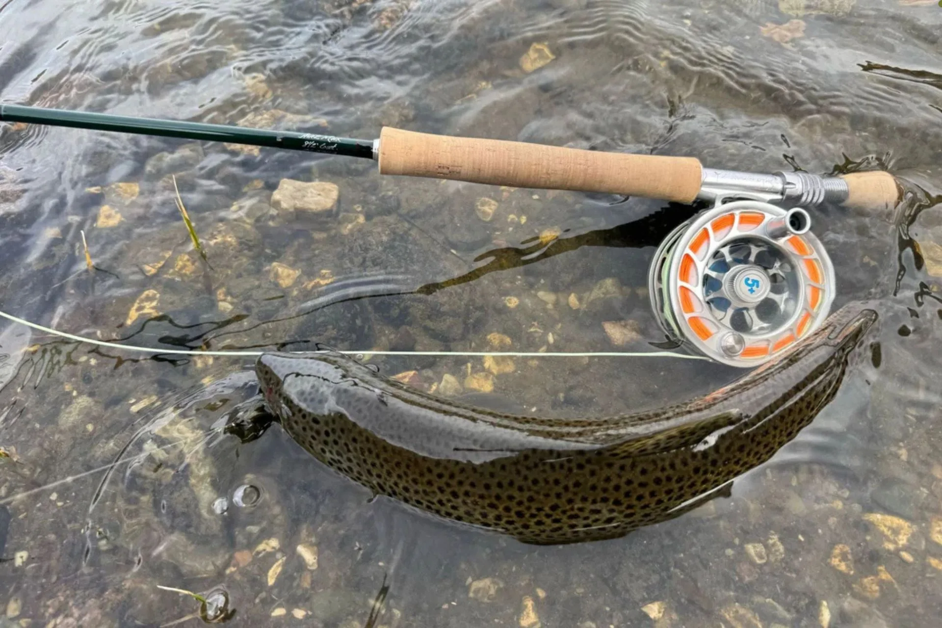 Madison River Fishing Report 5.29.25