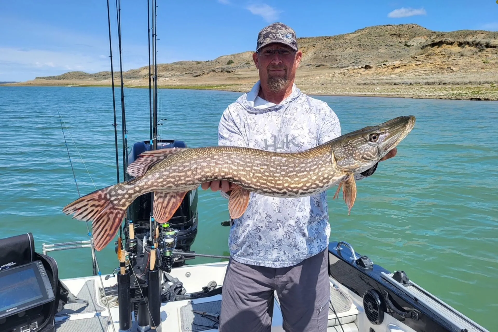 Don Wilkins’ Weekly Fort Peck Fishing Report 5.29.25