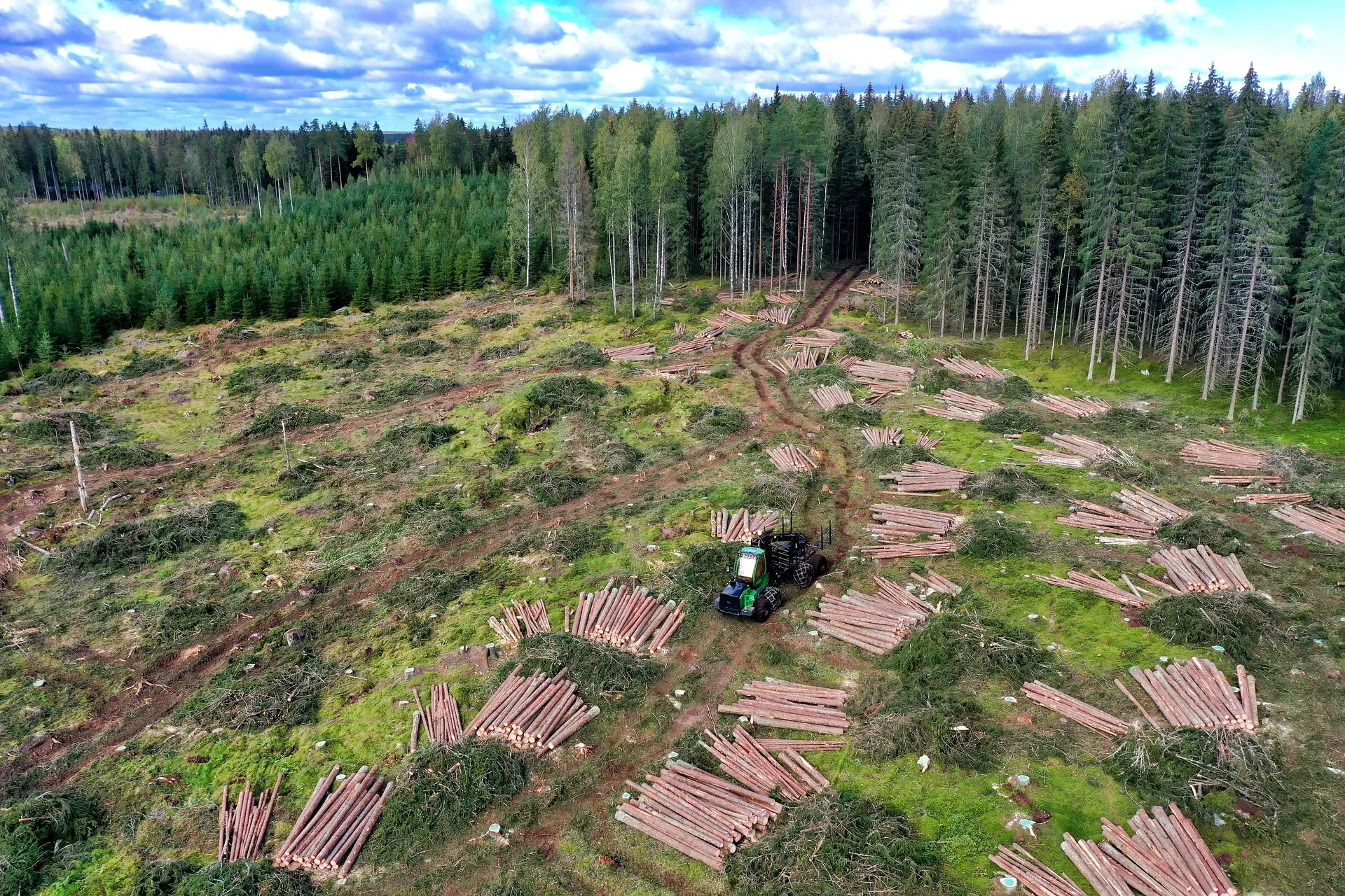 Zinke and Neguse Introduce Bill to Extend Successful Forest Management Program