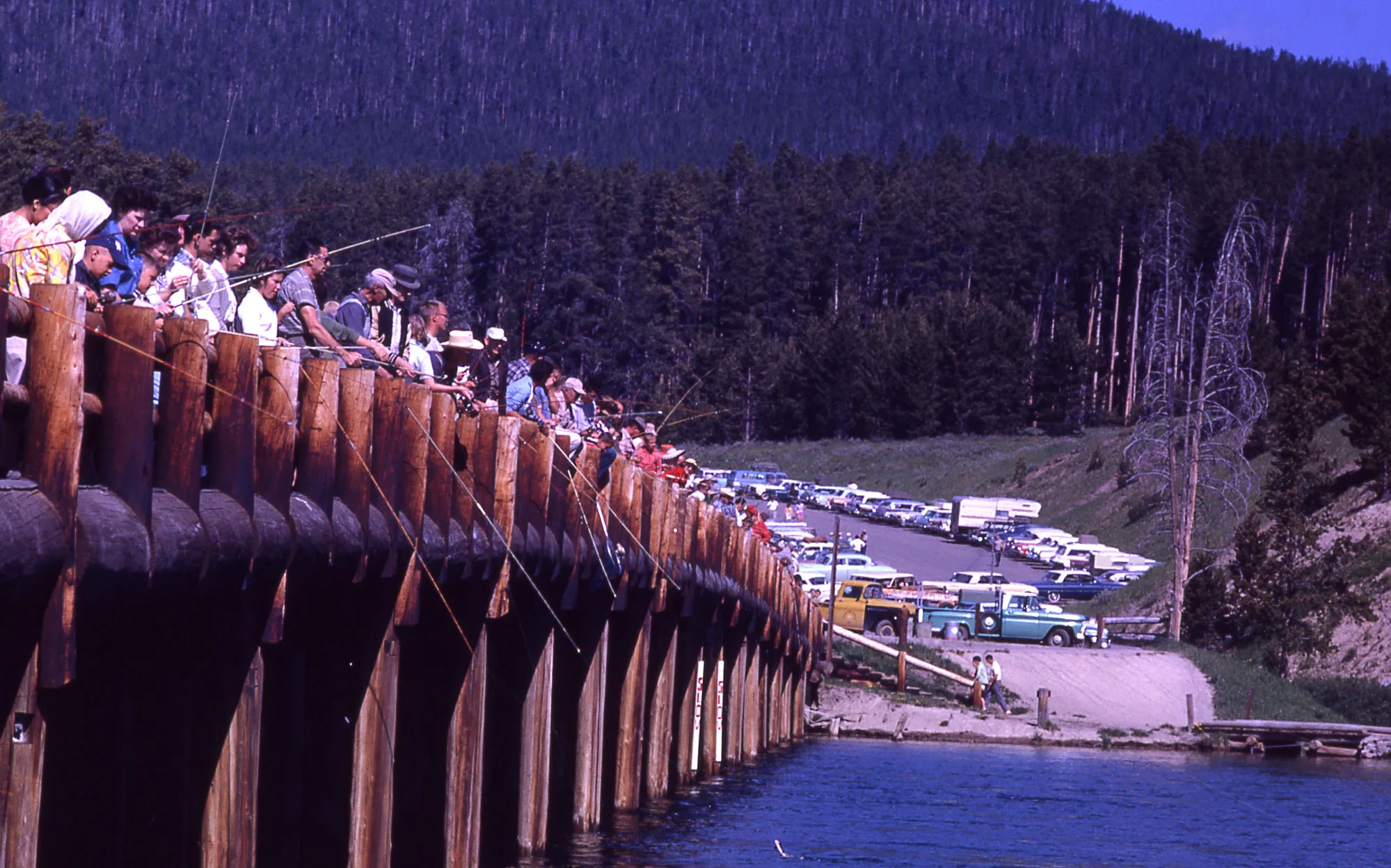 When Yellowstone was Great