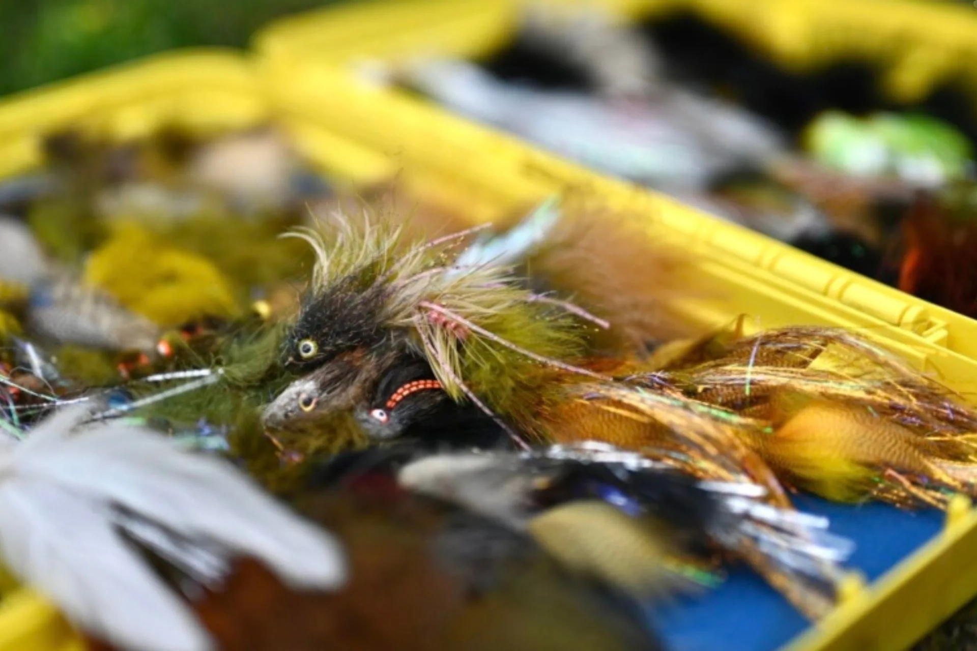 Top Streamer Patterns for the Bighorn River 6.22.25